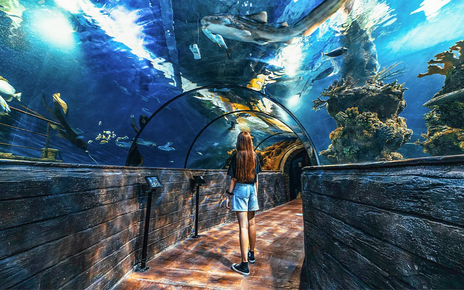 몰타 국립 수족관 패스트트랙 입장권 (Malta National Aquarium Skip-the-Line Tickets)
