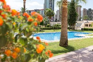Apartamentos Gemelos  20
