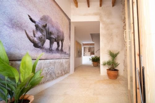 PETIT HOTEL FORN NOU
