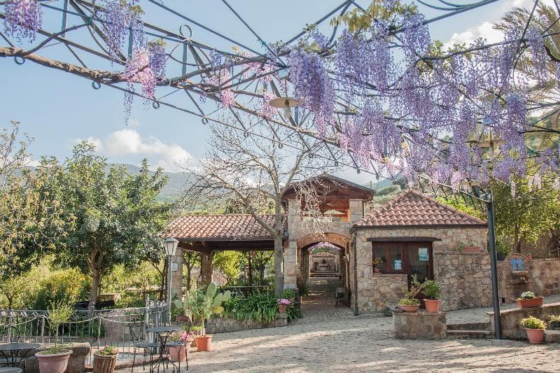 Azienda Agrituristica Bergi