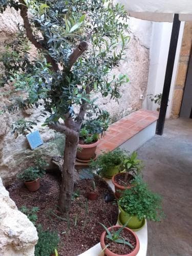 Locanda Al Moro Hotel