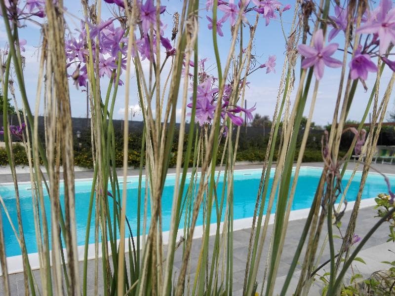 Agriturismo Terra dei Limoni