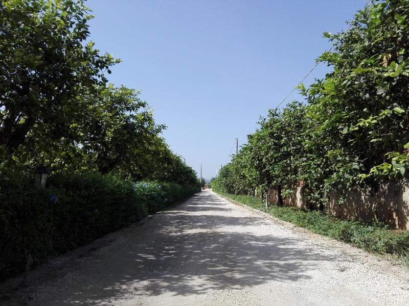 Agriturismo Terra dei Limoni