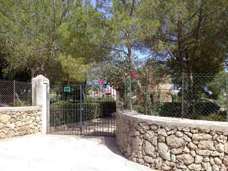 Agriturismo Terra dei Limoni