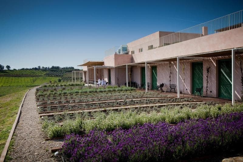 Foresteria Planeta