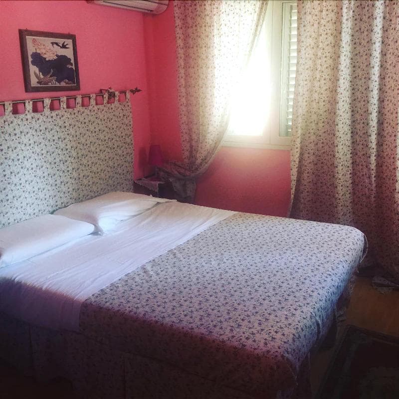 B&B Xenia