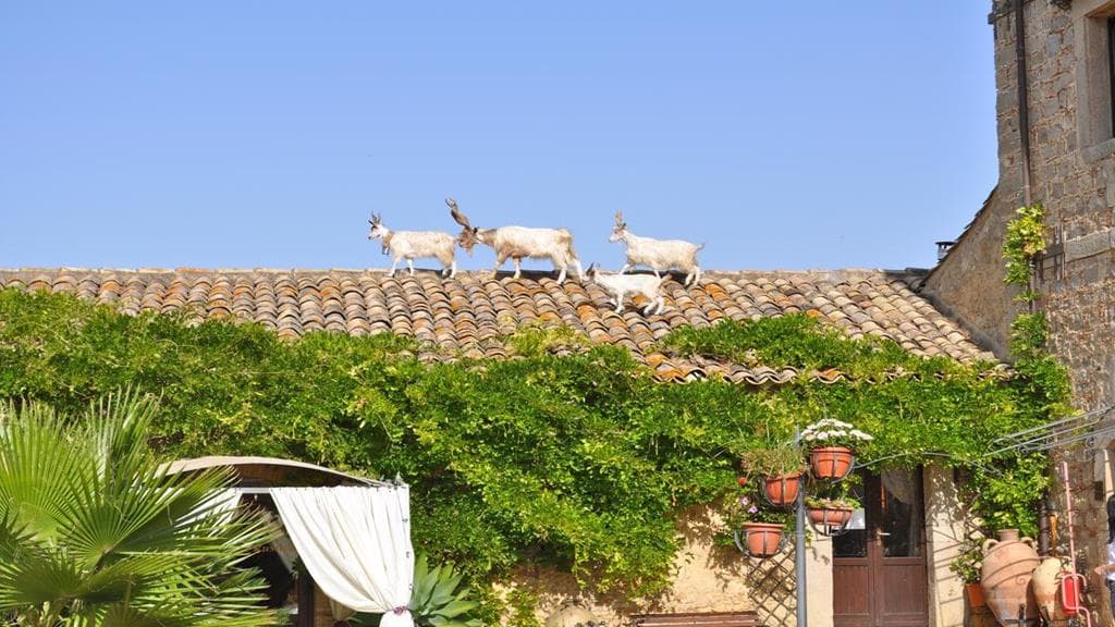 Vecchia Masseria
