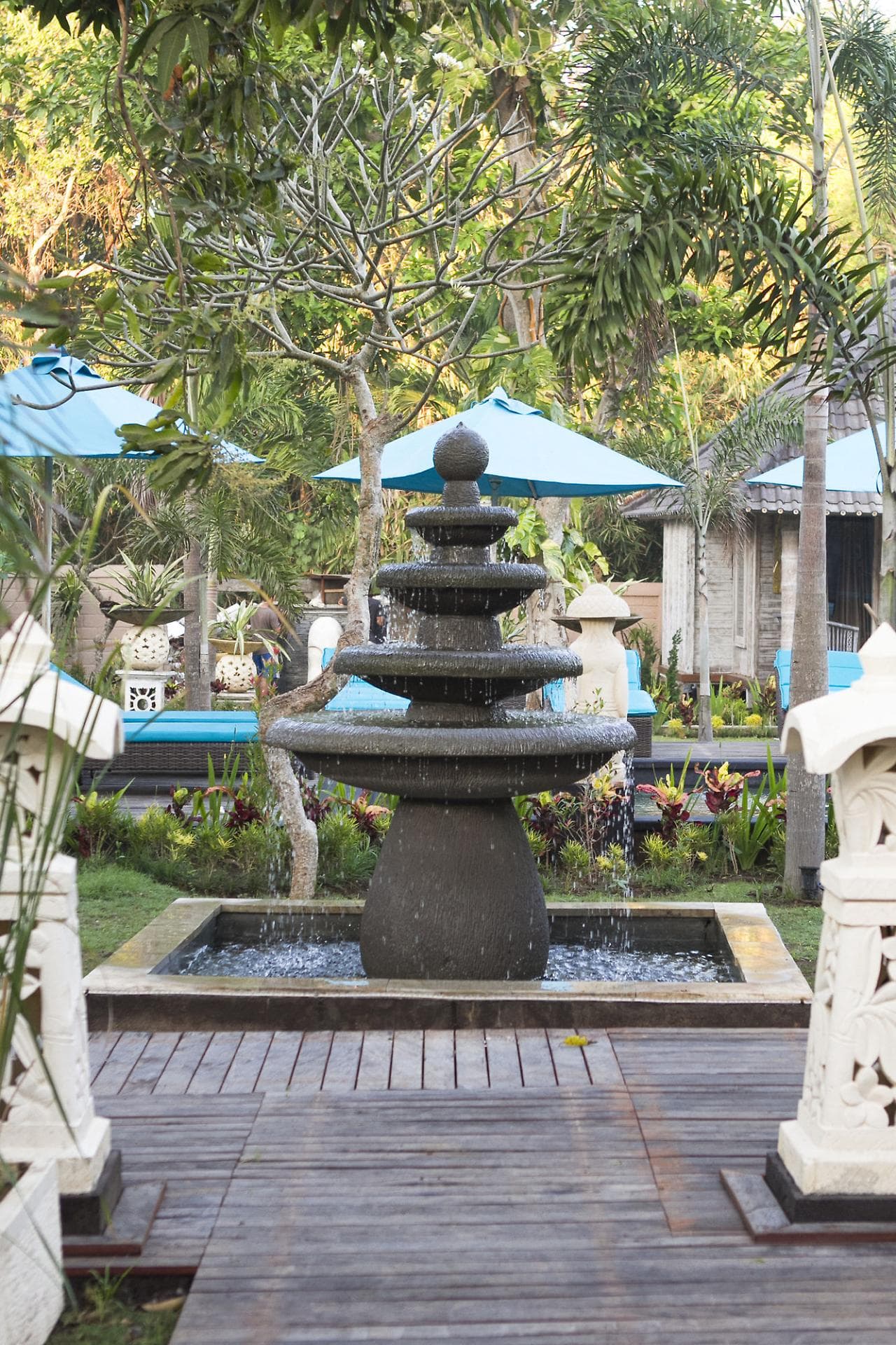 The Palm Grove