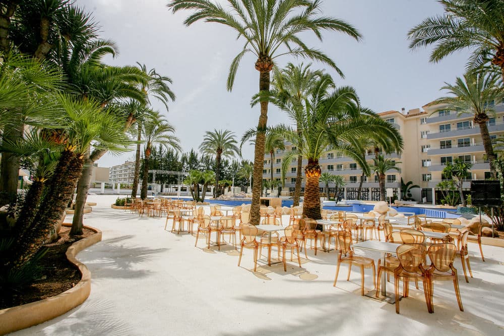Tent Calvia Beach