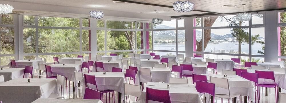 Cook's Club Calvia Beach Adults Only +21