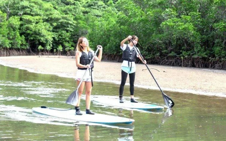 Iriomote Barasu Island Snorkeling and Mangrove SUP or Canoe Tour