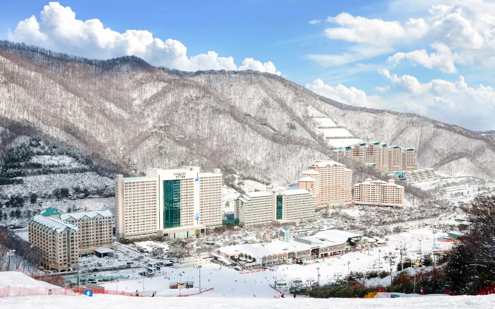 비발디파크 스키월드 공식 패스 + 서울 왕복 셔틀
