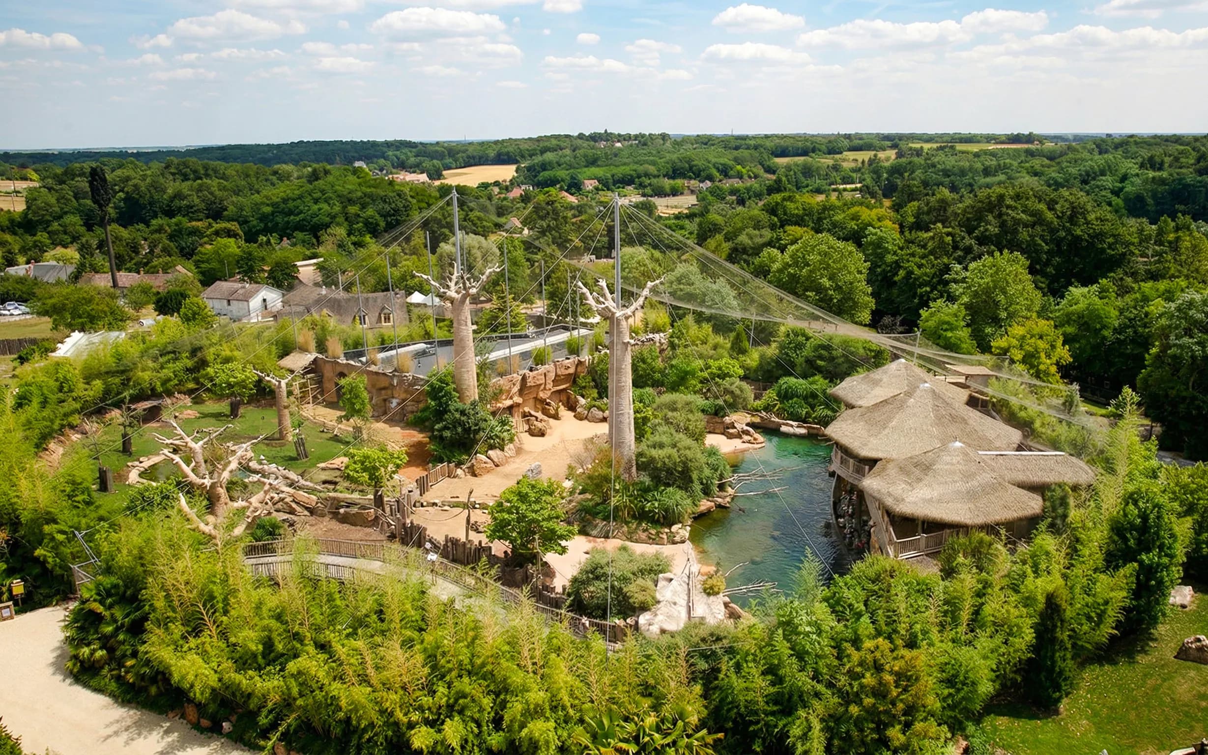 ZooParc de Beauval 1일 입장권