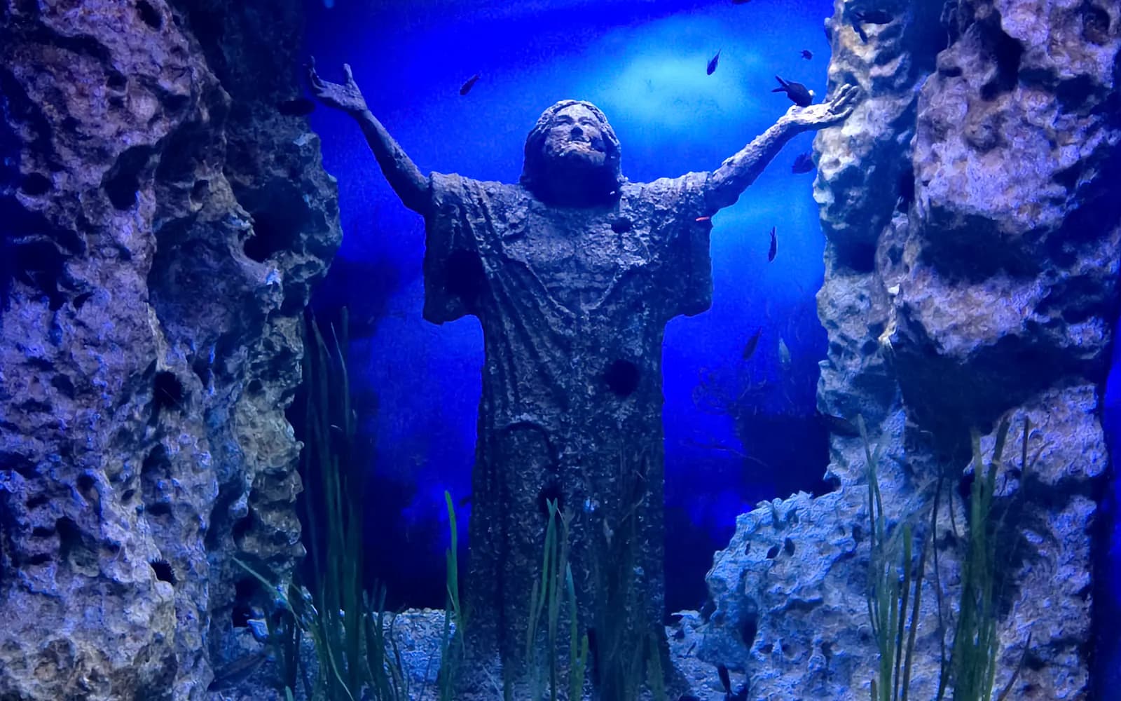 몰타 국립 수족관 패스트트랙 입장권 (Malta National Aquarium Skip-the-Line Tickets)