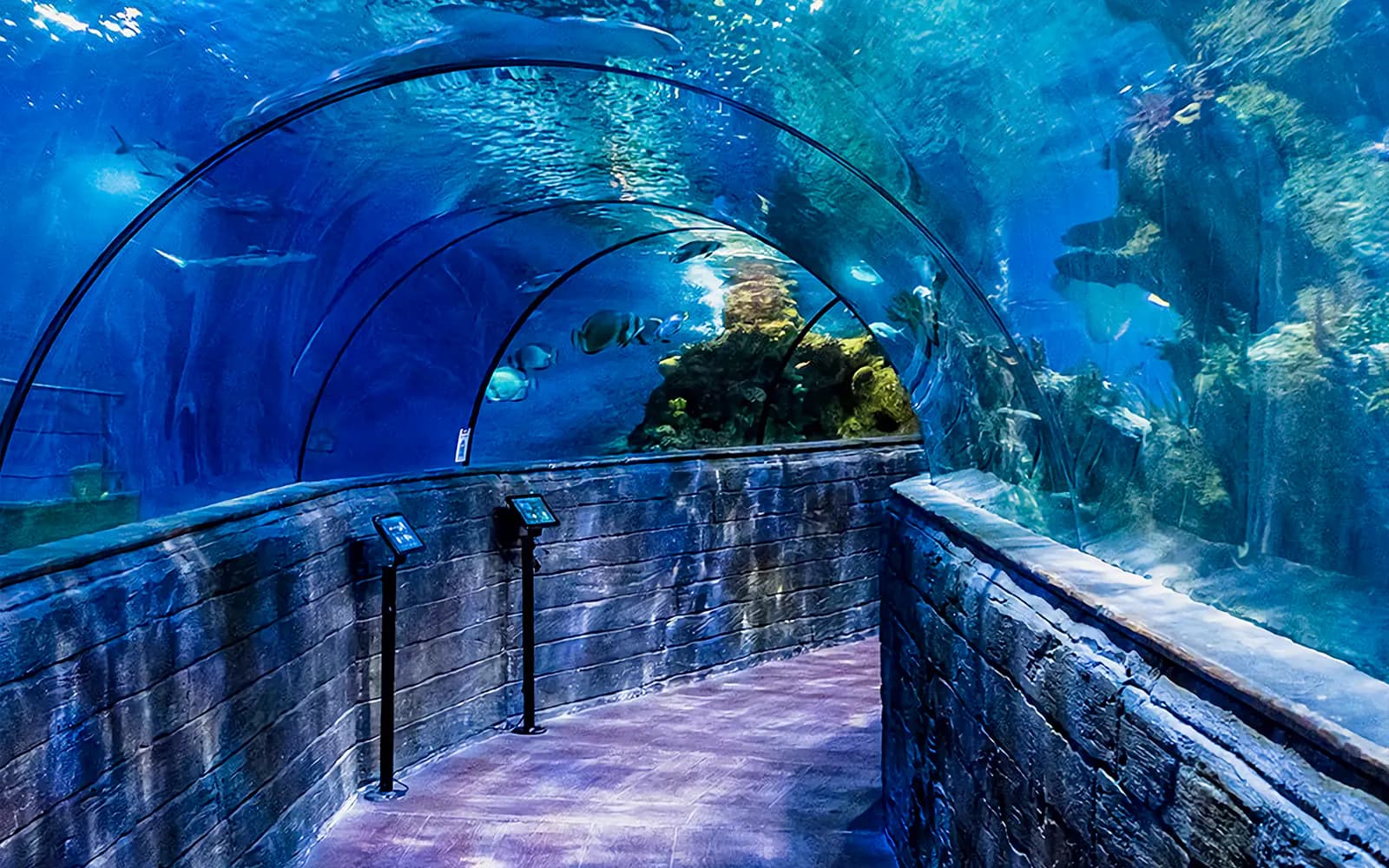 몰타 국립 수족관 패스트트랙 입장권 (Malta National Aquarium Skip-the-Line Tickets)