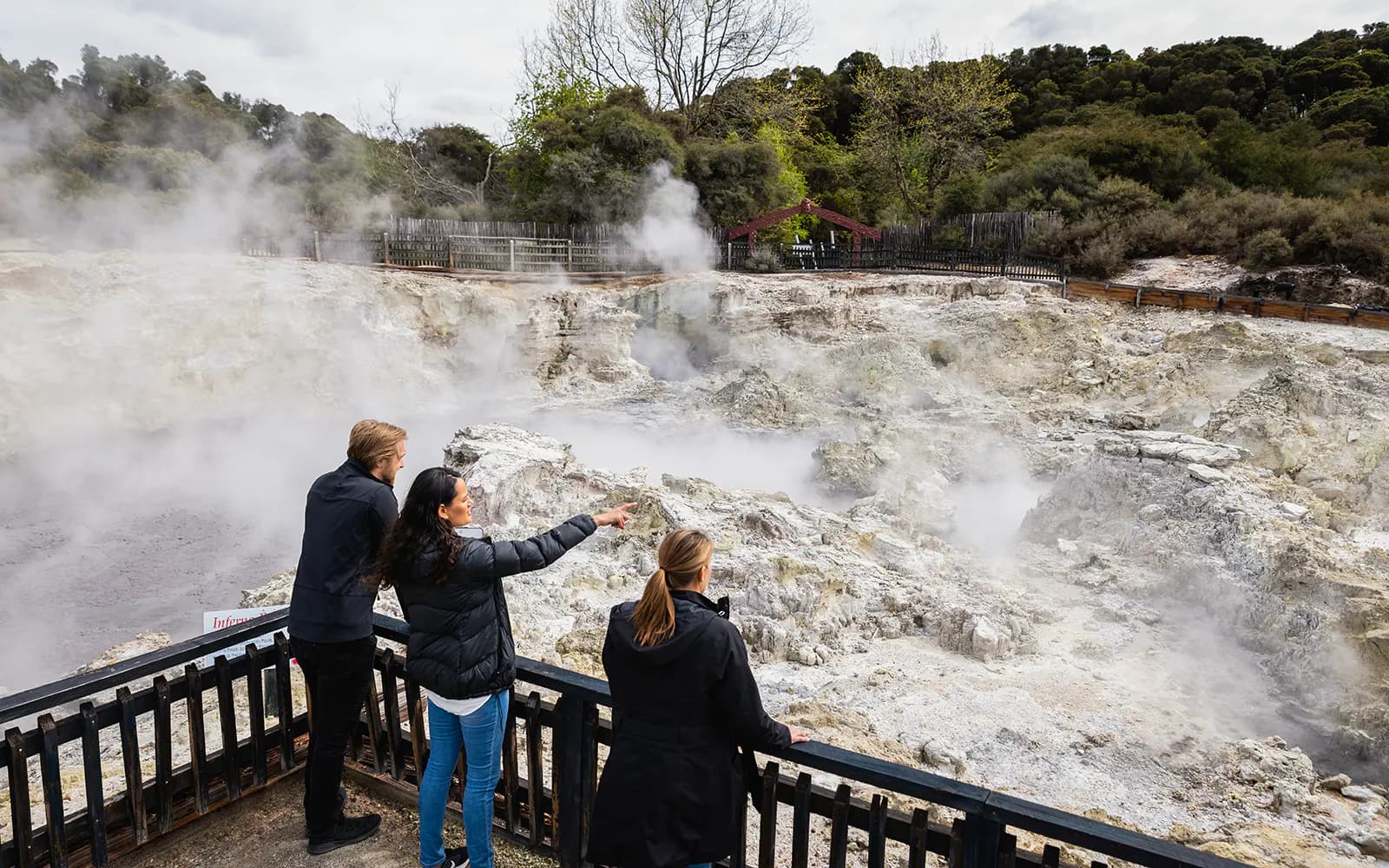 헬스 게이트 지열 산책 & 마오리 조각 체험 티켓