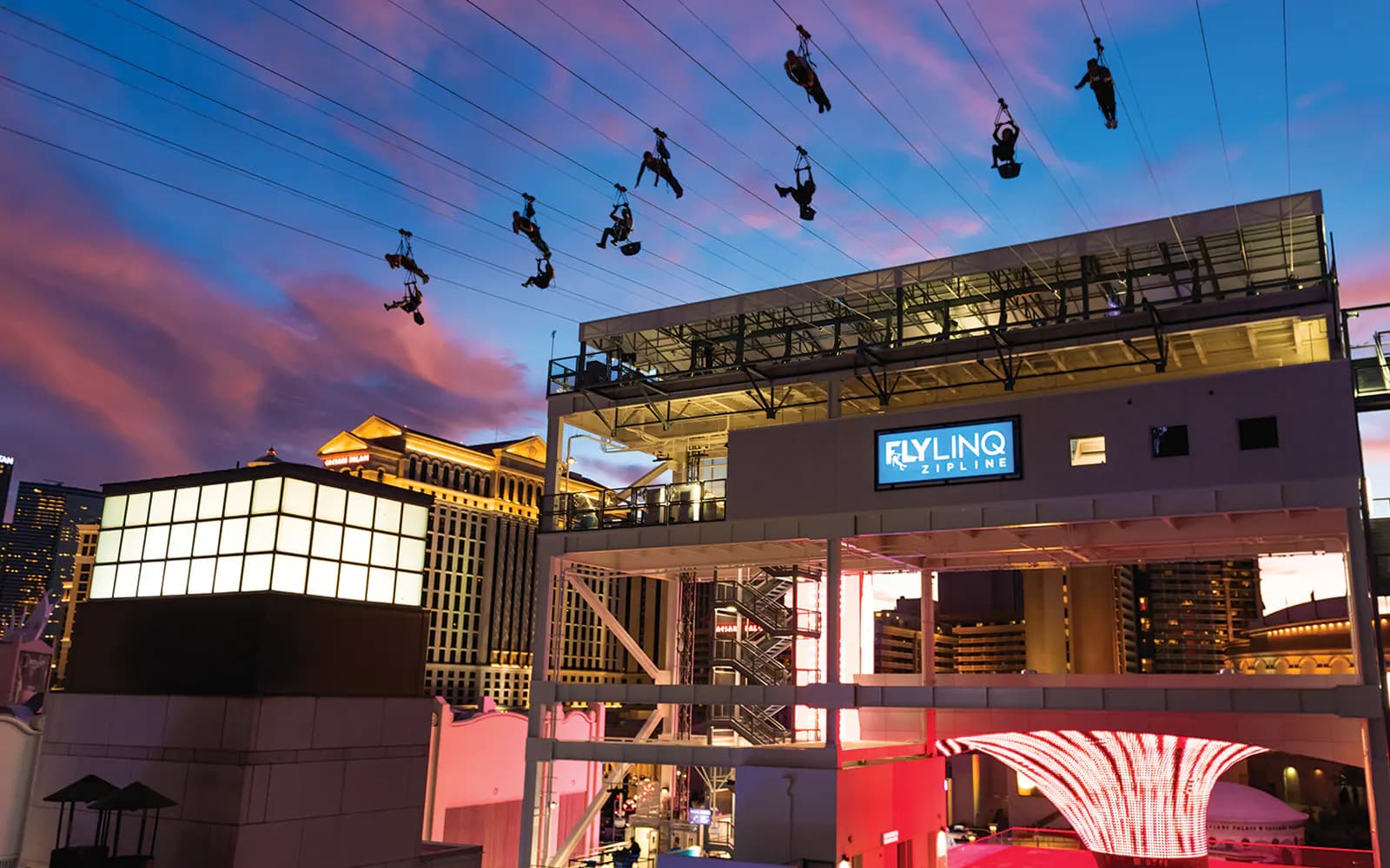 FLY LINQ 짚라인 티켓
