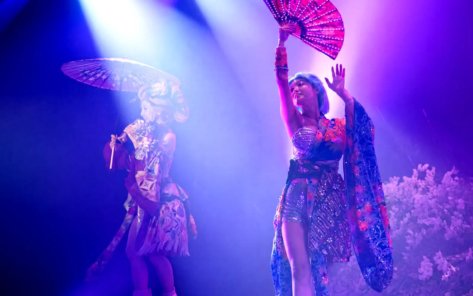 사무라이 가부키 쇼 티켓: 문화와 현대의 융합, 도쿄 (Samurai Kabuki Show Tickets: Tokyo Fusion of Culture and Modernity)