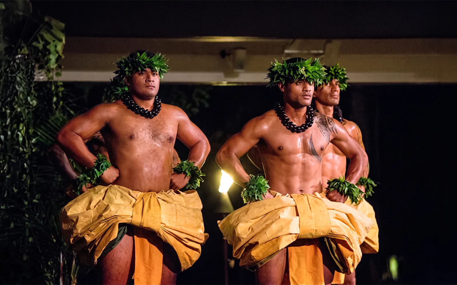 토아 루아우 (Toa Luau)