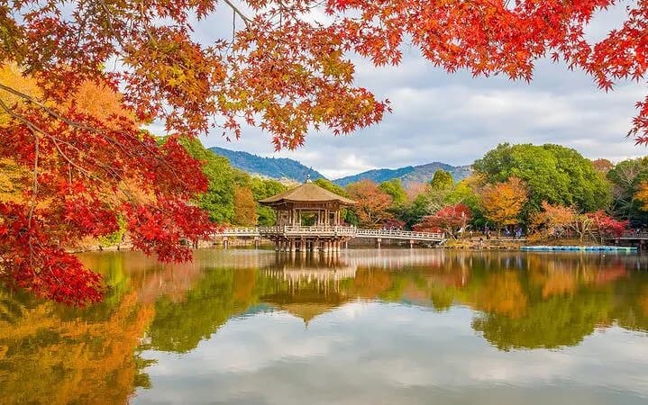 나라 하이라이트 자전거 투어