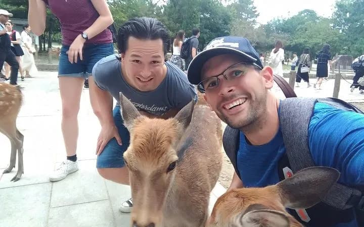 나라 프라이빗 하이라이트 자전거 투어