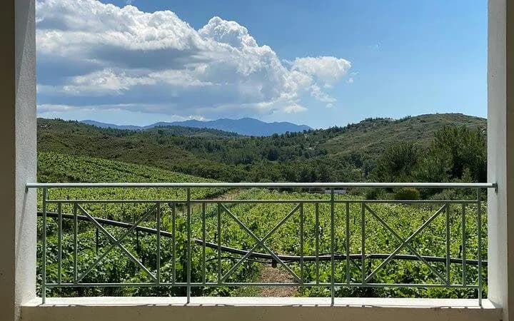 Rhode Winery Tour and Wine Tasting with Winemaker-Led Greek Cooking Class