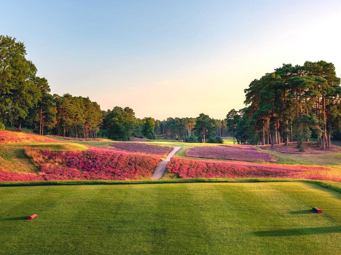 St. George’s Hill Golf - Rounding