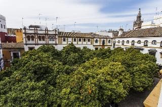 Hotel Boutique Elvira Plaza